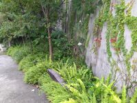 恙蟲病流行高峰 澎36病例-醫護新鮮事